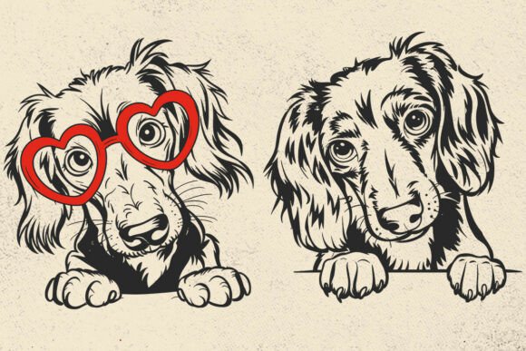 Dachshund SVG Review: A Designer’s Stitch Test